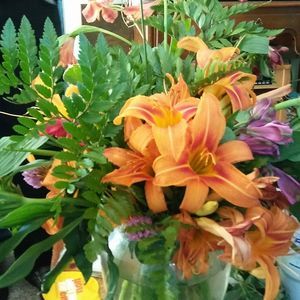 Meet your Posher, Rebecca